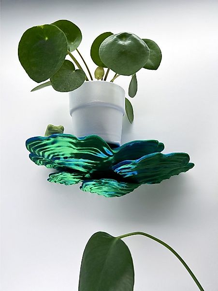 Roomberry Deko-Wandregal Schwebendes Schichtpilz Wandregal – Das perfekte D günstig online kaufen