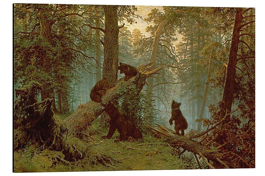 Posterlounge Wandbild Morgen in einem Kiefernwald, günstig online kaufen