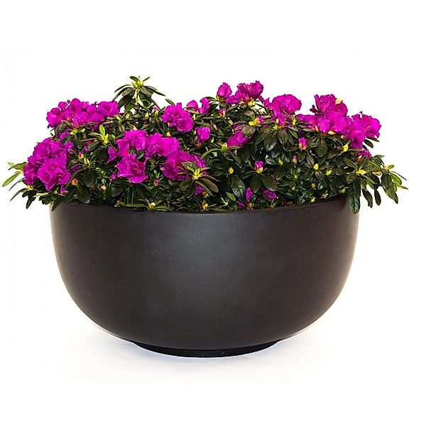 Elegant Einrichten Pflanzkübel Fiberglas Schale-Rund D80xH40cm Elegant-Schw günstig online kaufen