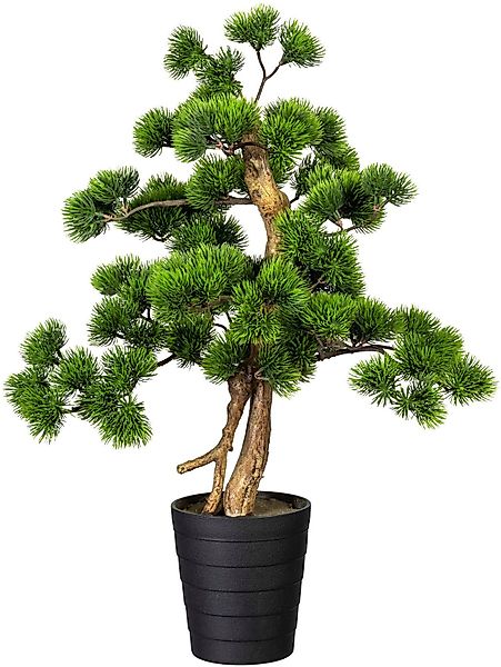 Kunstbonsai Bonsai Kiefer Bonsai Kiefer, Creativ günstig online kaufen