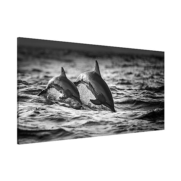 Magnettafel Tiere - Querformat 2:1 Zwei springende Delfine günstig online kaufen
