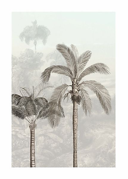 Komar Bild "Jungle Panorama", Natur, (1 St.), Wandbild zur Dekoration - ohn günstig online kaufen