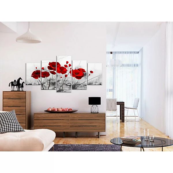 Wandbild Mohnblumen - rot  Wunder XXL günstig online kaufen