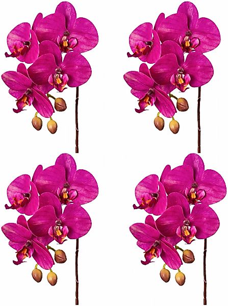 Creativ green Kunstorchidee "Orchidee Phalaenopsis", mit real-touch-Blüten günstig online kaufen