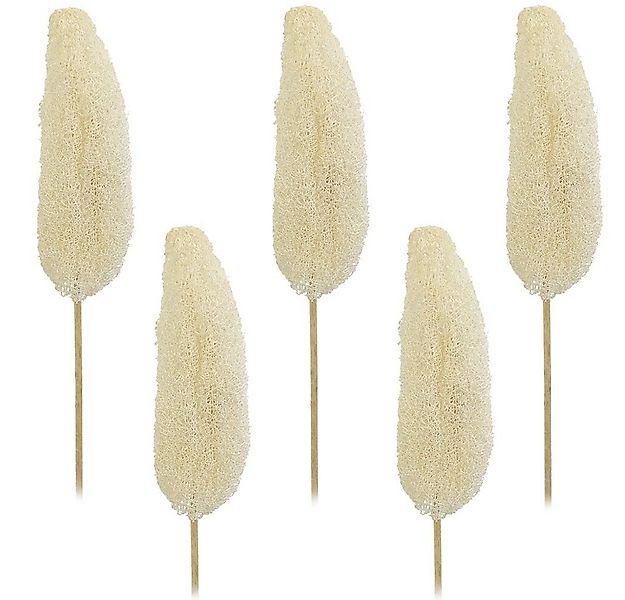 Kunstblume Luffa am Stiel Trockenblumen gebleicht 5er Set ca. 10-15 cm Luff günstig online kaufen