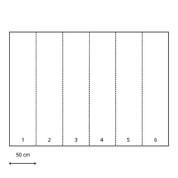 ESTAhome Fototapete Dschungelmuster Blau 3 x 2,79 m 159059 günstig online kaufen