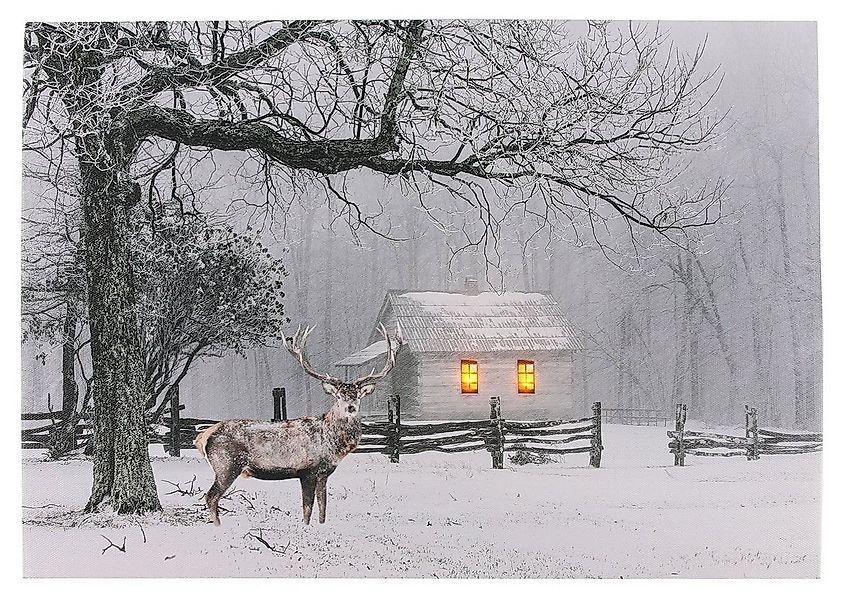 Spetebo LED-Bild LED Wandbild 40 x 30 cm - Hirsch mit Haus, Hirsch mit Haus günstig online kaufen