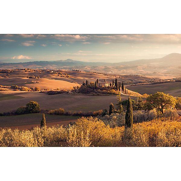 Komar Vliestapete »Digitaldruck Vlies - Toskanagold - Größe 400 x 250 cm« b günstig online kaufen