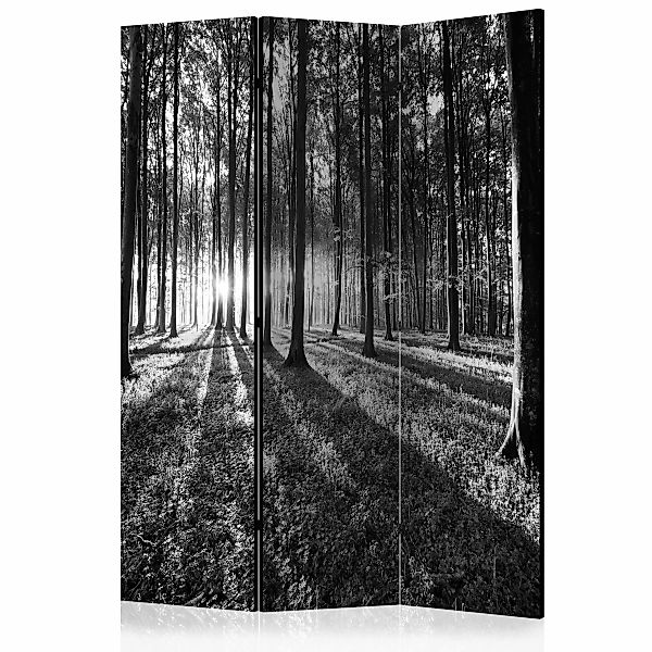 3-teiliges Paravent - Grey Wilderness [room Dividers] günstig online kaufen