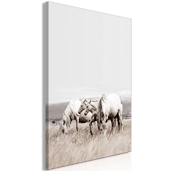 Wandbild - White Horses (1 Part) Vertical günstig online kaufen