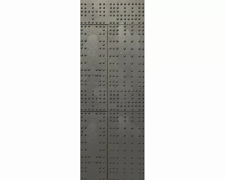 Dekopanel "Stahlwand" 1,00x2,80 m / Glattvlies Brillant günstig online kaufen