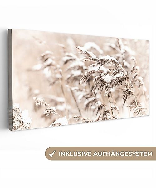 OneMillionCanvasses® Leinwandbild Panorama Winter - Pflanzen - Schnee - Nat günstig online kaufen