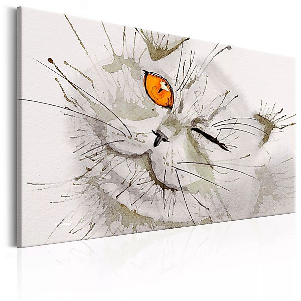 Wandbild - Grey Cat günstig online kaufen