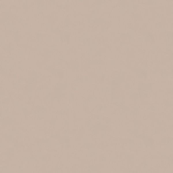 Bricoflor Taupe Tapete Modern Einfarbige Vliestapete in Beige Ideal für Woh günstig online kaufen