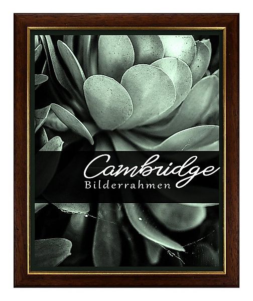 Einzelrahmen Bilderrahmen Cambridge, (1 Stück), 60x80 cm, Nussbaum Gold, Ho günstig online kaufen