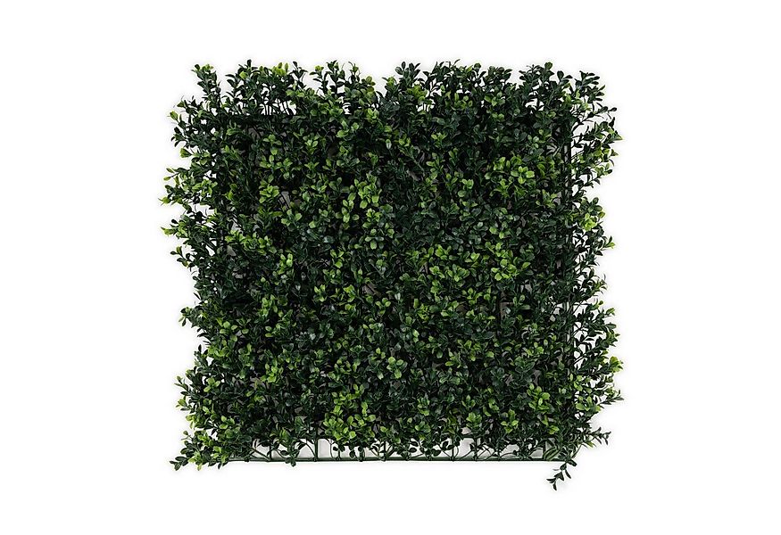 Kunstpflanze Pflanzenwand Boxwood, Karat, UV-beständig günstig online kaufen