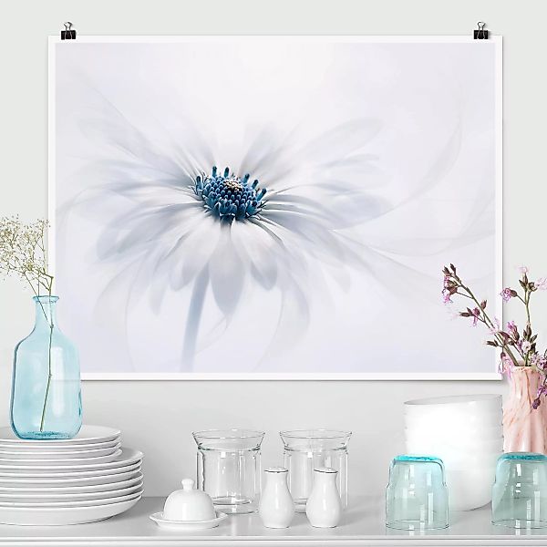 Poster Blumen - Querformat Gänseblümchen in Blau günstig online kaufen