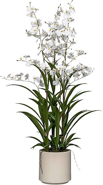 Kunstorchidee Orchidee Oncydie, Creativ green, Höhe 98 cm, im eleganten Top günstig online kaufen