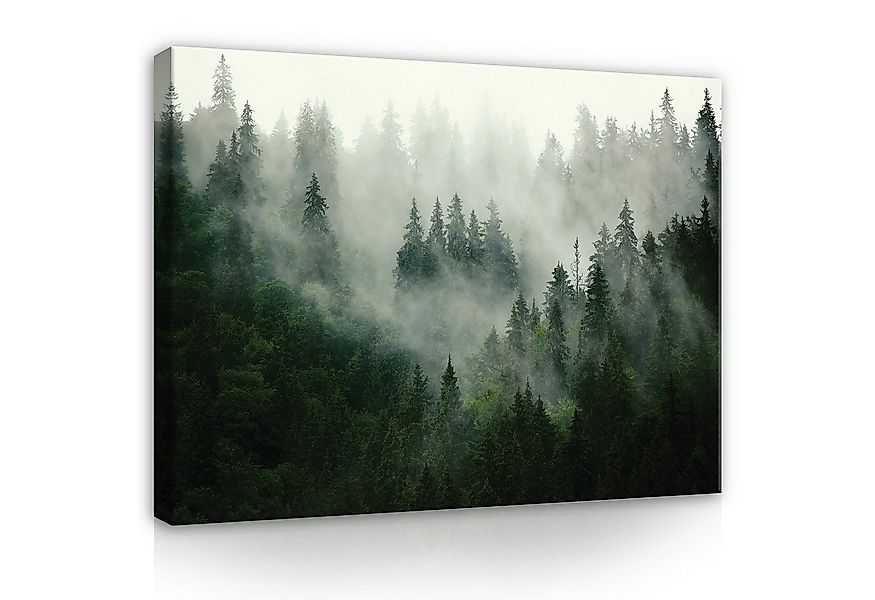 Wallarena Leinwandbild Wald im Nebel Grün Natur Modern XXL Leinwandbilder B günstig online kaufen