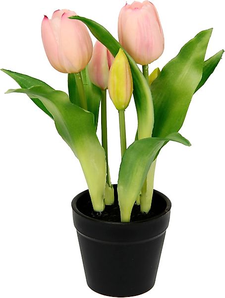 I.GE.A. Kunstblume "Tulpen" Real-Touch Blüten Tulpe Tulpenstrauß Latex Kuns günstig online kaufen