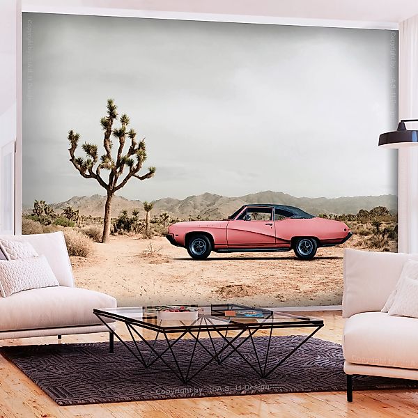 Fototapete - Desert California günstig online kaufen