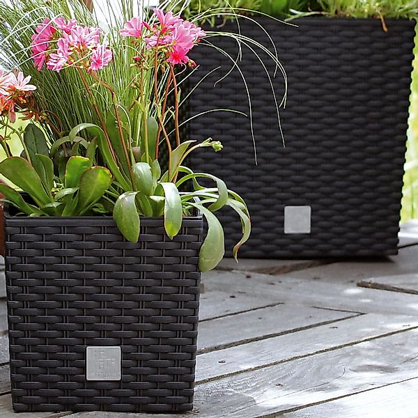 Prosperplast Pflanzkübel DRTS400L, Blumentopf mit Einsatz günstig online kaufen