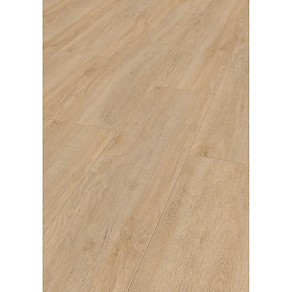 Jangal Laminatboden Oak National Park Line Pro Sarek günstig online kaufen