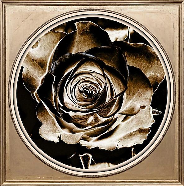 queence Acrylglasbild "Rose Sepia" günstig online kaufen