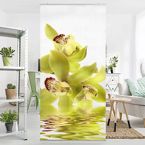 Raumteiler Blumen Splendid Orchid Waters günstig online kaufen