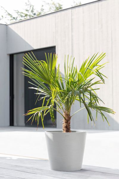 ECOPOTS Blumentopf AMSTERDAM White Grey, BxTxH: günstig online kaufen