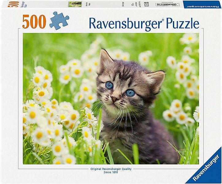 Ravensburger Puzzle Kätzchen in der Wiese, günstig online kaufen
