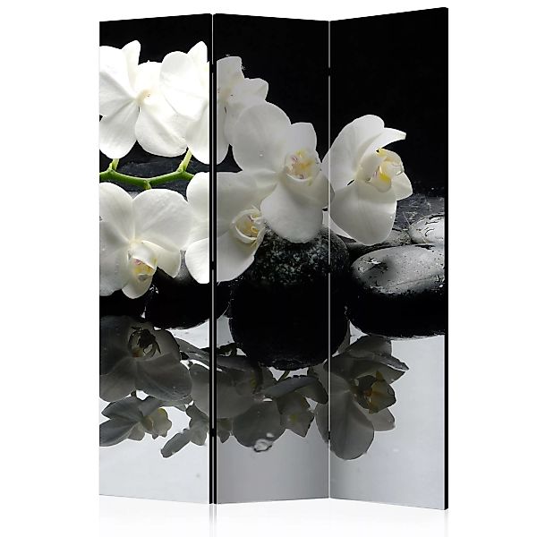 3-teiliges Paravent - Spa, Stones And Orchid [room Dividers] günstig online kaufen