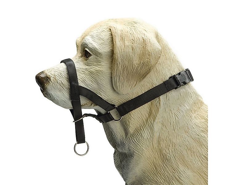 Beeztees Hunde-Erziehungsgeschirr Nasenband Dog Control schwarz günstig online kaufen