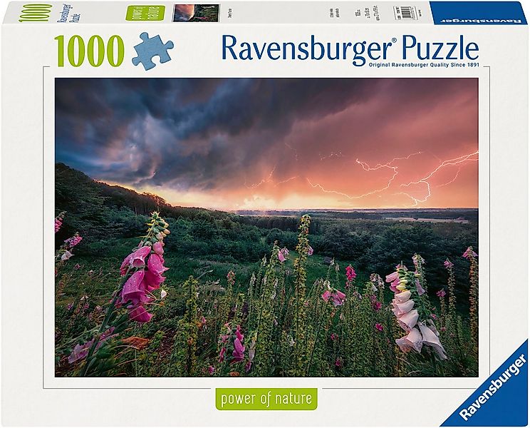 Ravensburger Puzzle power of nature, Ein Sturm zieht auf, 1000 Puzzleteile, günstig online kaufen