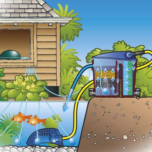 Ubbink Air 1000 Teich Belüftungspumpe Luftpumpe 6-Fach günstig online kaufen