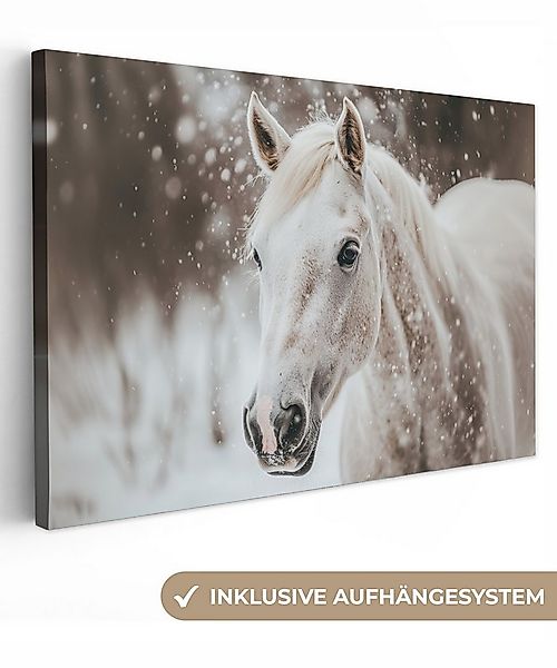 OneMillionCanvasses® Leinwandbild Pferd - Weiß - Winter - Natur - Schnee - günstig online kaufen