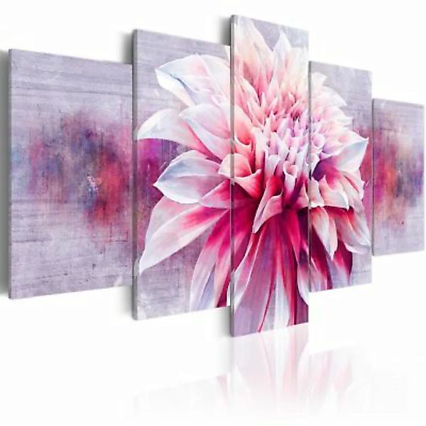 artgeist Wandbild Violet Dahlia mehrfarbig Gr. 200 x 100 günstig online kaufen