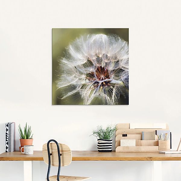 Artland Glasbild »Pusteblume II«, Blumen, (1 St.), in verschiedenen Größen günstig online kaufen