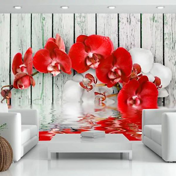 artgeist Fototapete Ruby orchid mehrfarbig Gr. 350 x 245 günstig online kaufen