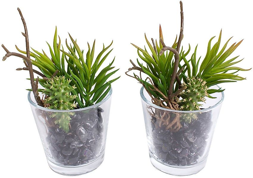 Künstliche Zimmerpflanze Sukkulenten Arrangement im Glas, günstig online kaufen