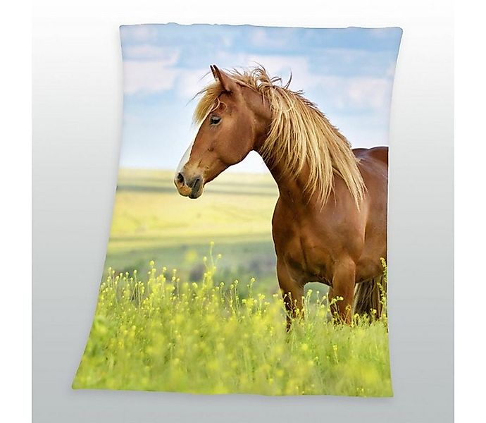 Wohndecke Pferde Fleecedecke Kuscheldecke mit Pferd 130 x 160 cm, KK, Langl günstig online kaufen