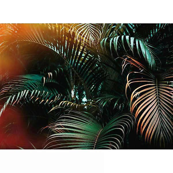 Fototapete Palmenblätter Grün Gelb Orange 3,50 m x 2,55 m FSC® günstig online kaufen