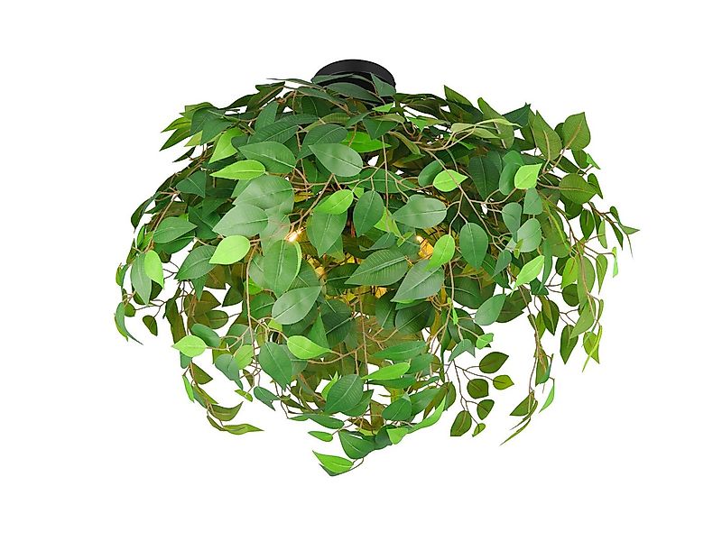 Reality Leuchten LED Deckenleuchte, Dimmfunktion, LED wechselbar, warmweiß, günstig online kaufen