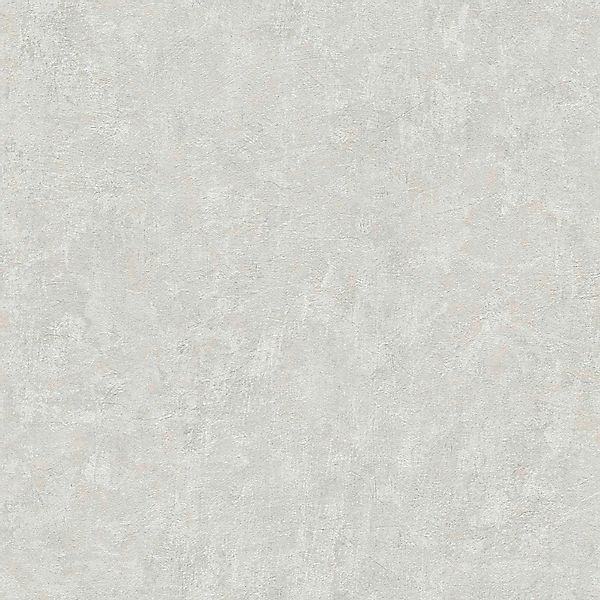 A.S. Création Vliestapete Natural Living Putzoptik, günstig online kaufen