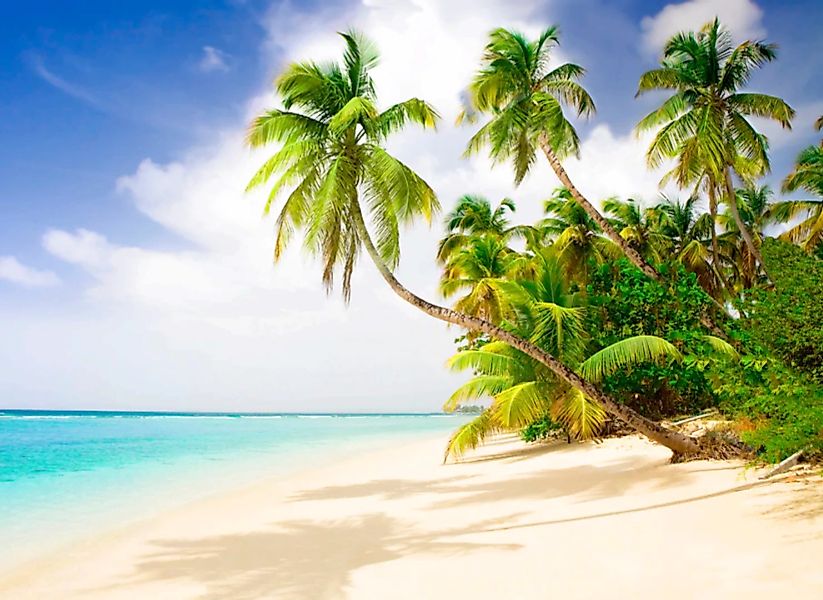 Papermoon Fototapete »Beach in the South Seas« günstig online kaufen