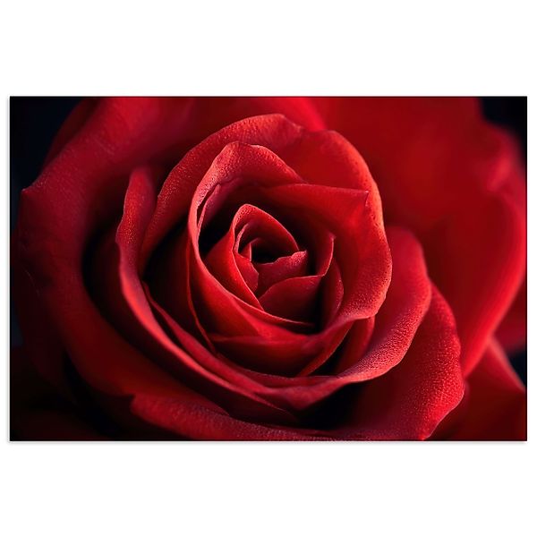 MuchoWow Poster Rot - Rose - günstig online kaufen