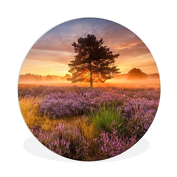MuchoWow Gemälde Heidelandschaft mit einem Baum, günstig online kaufen