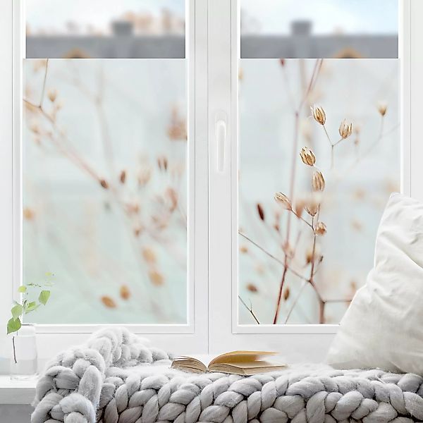 Fensterfolie Pastellknospen am Wildblumenzweig günstig online kaufen