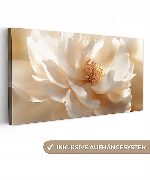 OneMillionCanvasses® Leinwandbild Panorama Nahaufnahme - Pfingstrose günstig online kaufen