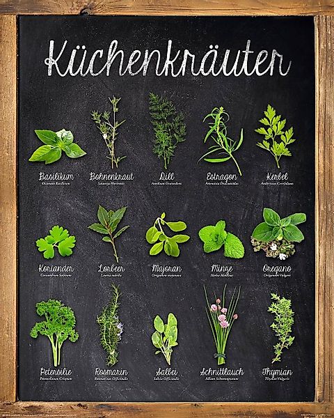 Home affaire Deco-Panel Küchenkräuter, 40/50 cm günstig online kaufen